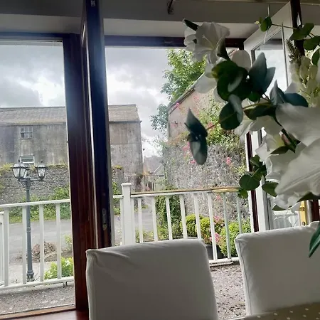 Elegant Townhouse Steps From Historic Castle * Birr