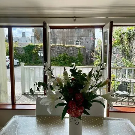 Elegant Townhouse Steps From Historic Castle Birr