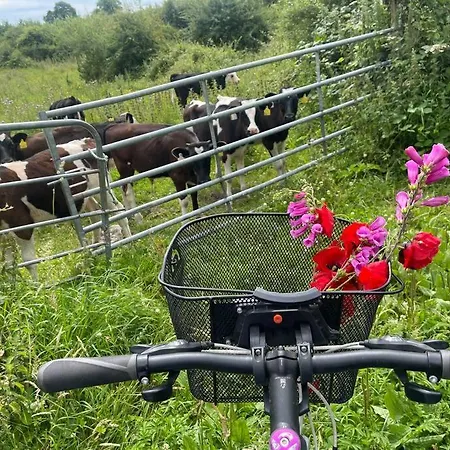 Elegant Townhouse Steps From Historic Castle Casa vacanze