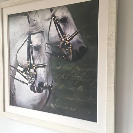 Elegant Townhouse Steps From Historic Castle Casa vacanze Birr