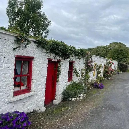 Elegant Townhouse Steps From Historic Castle Birr