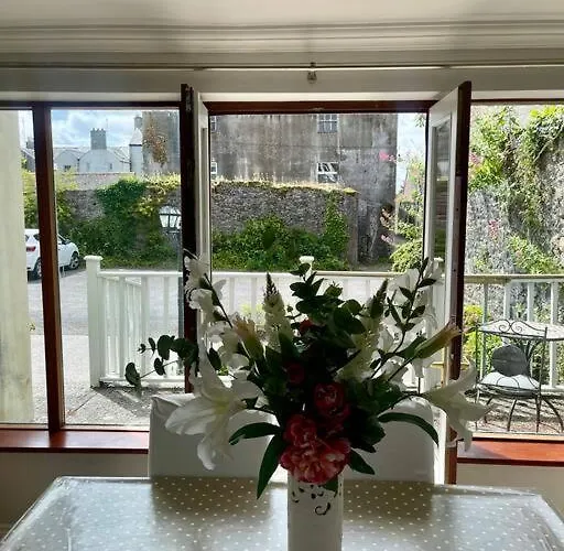 Elegant Townhouse Steps From Historic Castle Birr