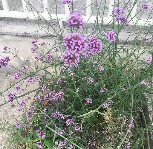 Elegant Townhouse Steps From Historic Castle *