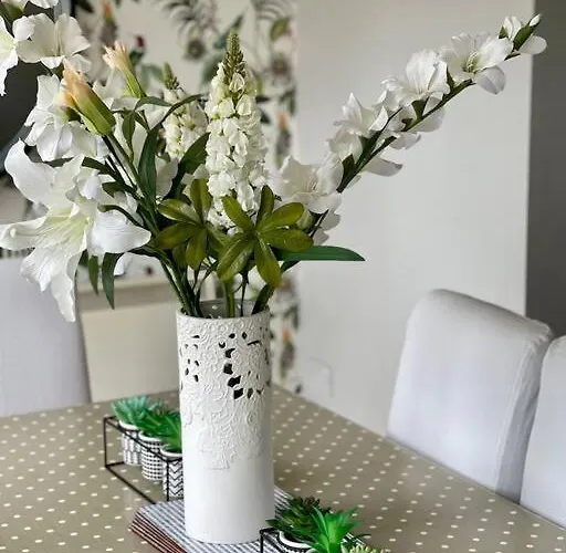 Elegant Townhouse Steps From Historic Castle Birr