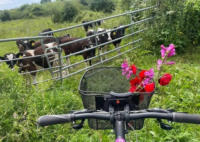 Elegant Townhouse Steps From Historic Castle Vakantiehuis