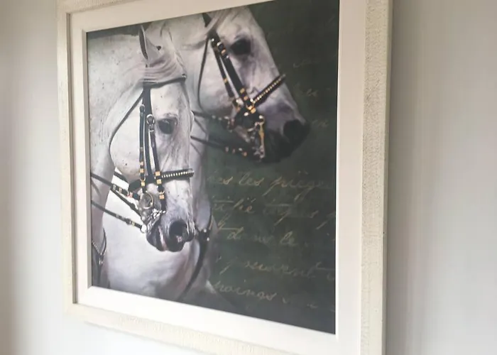 Elegant Townhouse Steps From Historic Castle Vakantiehuis Birr