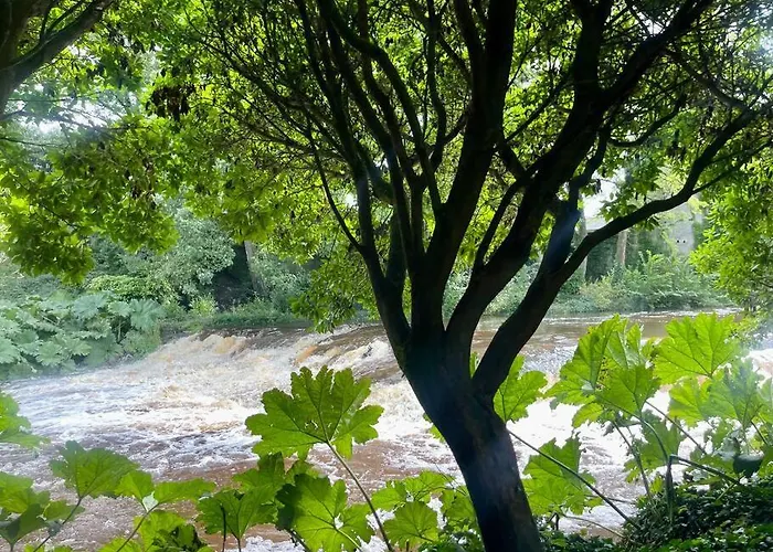 Elegant Townhouse Steps From Historic Castle Vakantiehuis