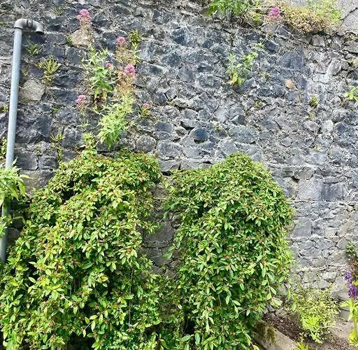 Elegant Townhouse Steps From Historic Castle *