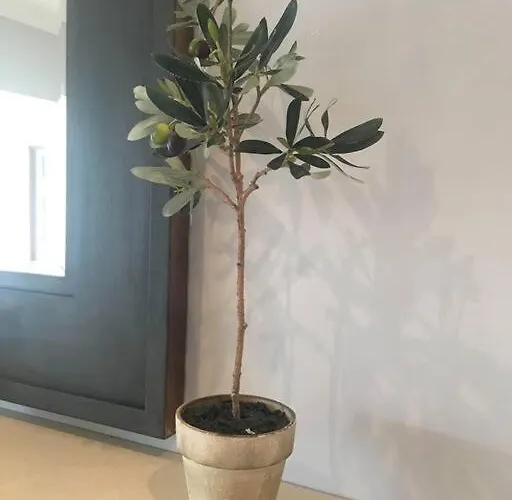 Vakantiehuis Elegant Townhouse Steps From Historic Castle *