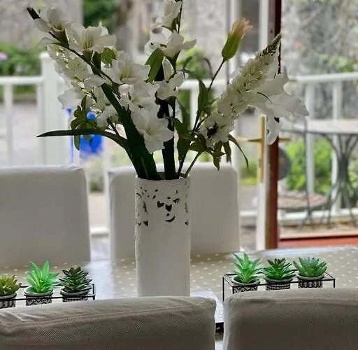 Elegant Townhouse Steps From Historic Castle Vakantiehuis Birr